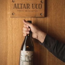 Vinos de Quietud en Valle de Uco – Gualtallary – Altar Uco